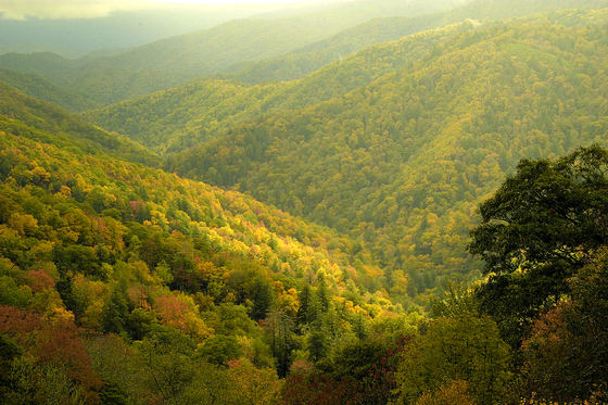 Great Smoky Mountains 
