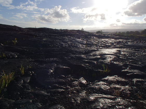 Hawaii Volcanoes National Park