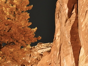 Capitol Reef National Park