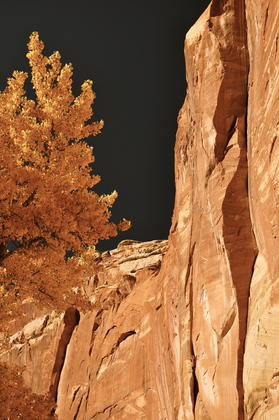 Capitol Reef National Park