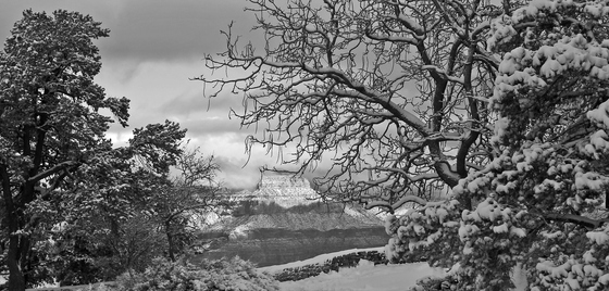 Grand Canyon