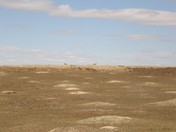 Theodore Rosevelt Park