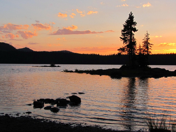 Willamette National Forest