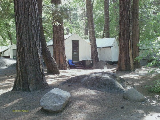 Yosemite National Park
