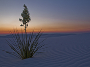 White Sands National Monument
