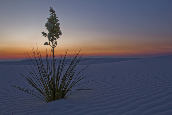 White Sands National Monument