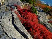 Acadia National Park