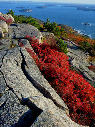 Acadia National Park