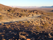 Joshua Tree National Park