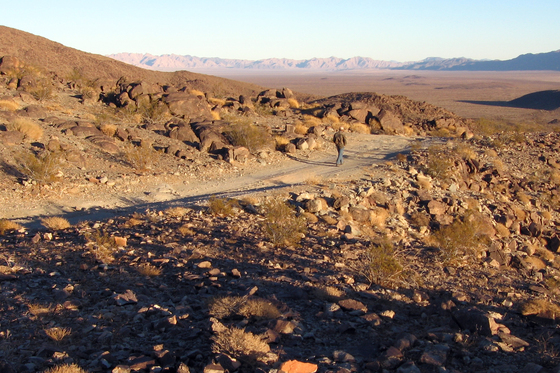 Joshua Tree National Park