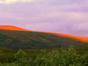 Tangle Lakes Campground