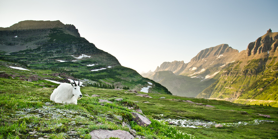 Glacier National Park