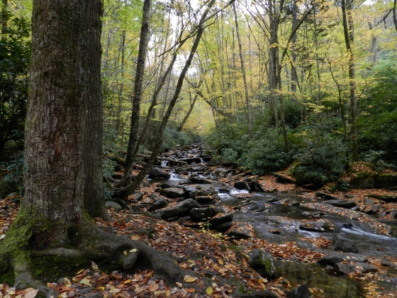 Great Smoky Mountains National Park