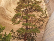 The Kasha-Katuwe Tent Rocks National Monument