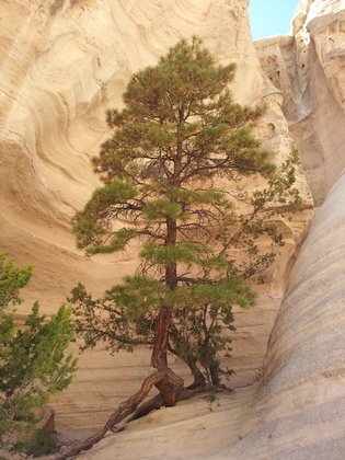 The Kasha-Katuwe Tent Rocks National Monument