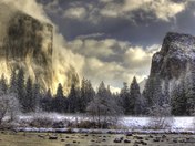 Yosemite National Park