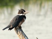 Lee Metcalf National Wildlife Refuge