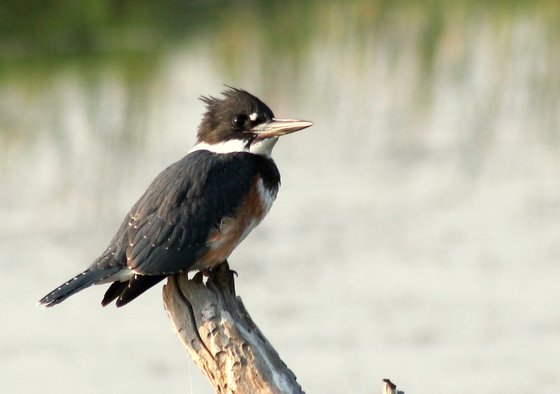 Lee Metcalf National Wildlife Refuge