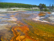 Yellowstone National Park