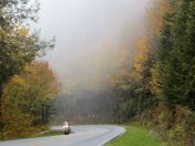 The Great Smoky Mountains National Forest