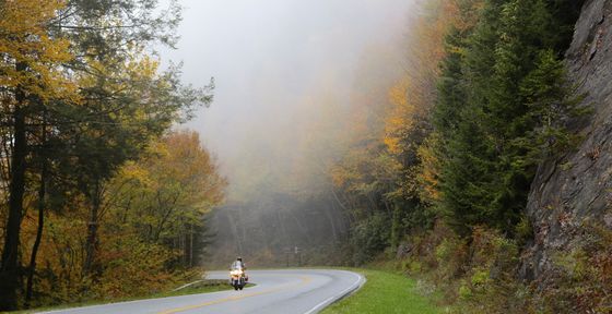 The Great Smoky Mountains National Forest
