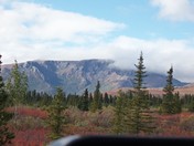 Denali National Park