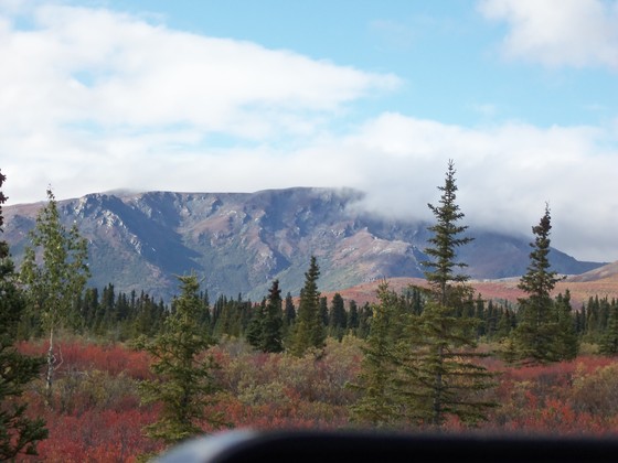 Denali National Park