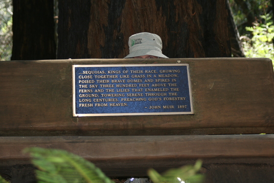Big Sur