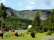 Yellowstone National Park