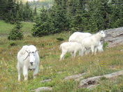 Glacier National Park