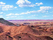 Petrified Forest / Painted Desert