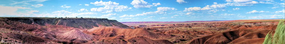 Petrified Forest / Painted Desert