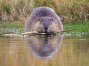 Grand Tetons National Park 