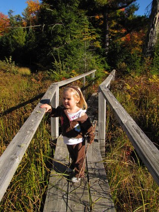 Ottawa Natinoal Forest