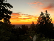 Pike National Forest