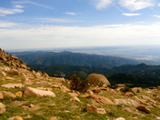 Pike National Forest