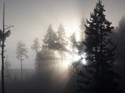 Yellowstone National Park