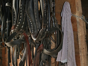 Grant-Kohrs Ranch National Historic Site, Montana