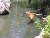 Chesapeake & Ohio Canal National Historic Park