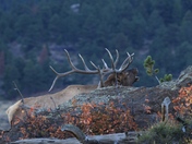 Rocky Mountain National Park