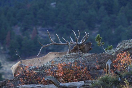 Rocky Mountain National Park