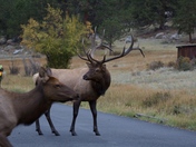 Rocky Mountain National Park