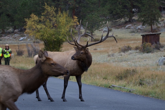 Rocky Mountain National Park