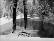 Yosemite National Park