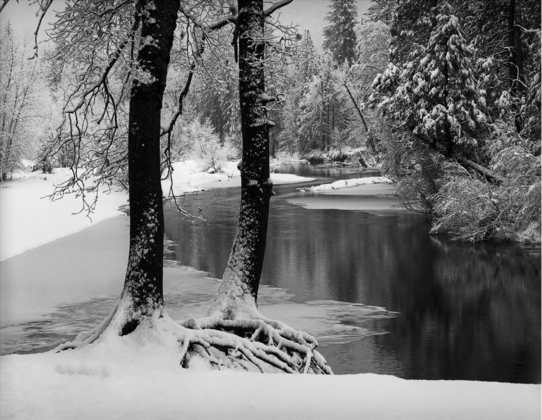 Yosemite National Park