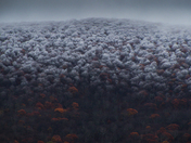 Shenandoah National Park