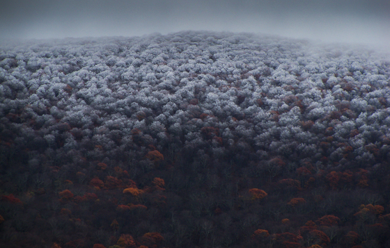 Shenandoah National Park