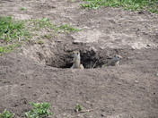 Grand Tetons National Park