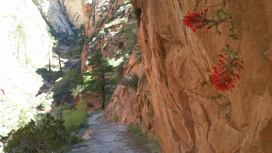 Zion National Park