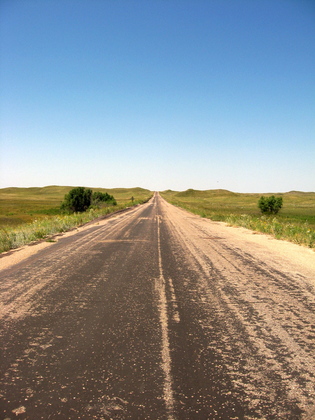 Samuel R. McKelvie National Forest